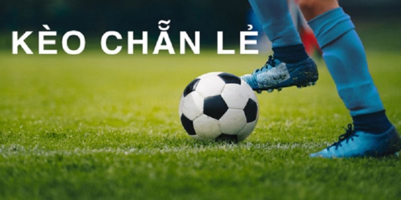 Tìm hiểu tổng quát về kèo chẵn lẻ trong bóng đá