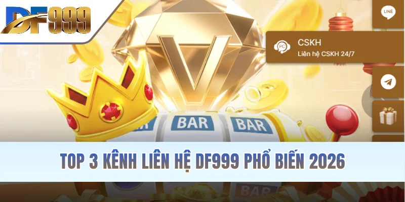 Top 3 kênh liên hệ DF999 phổ biến 2026